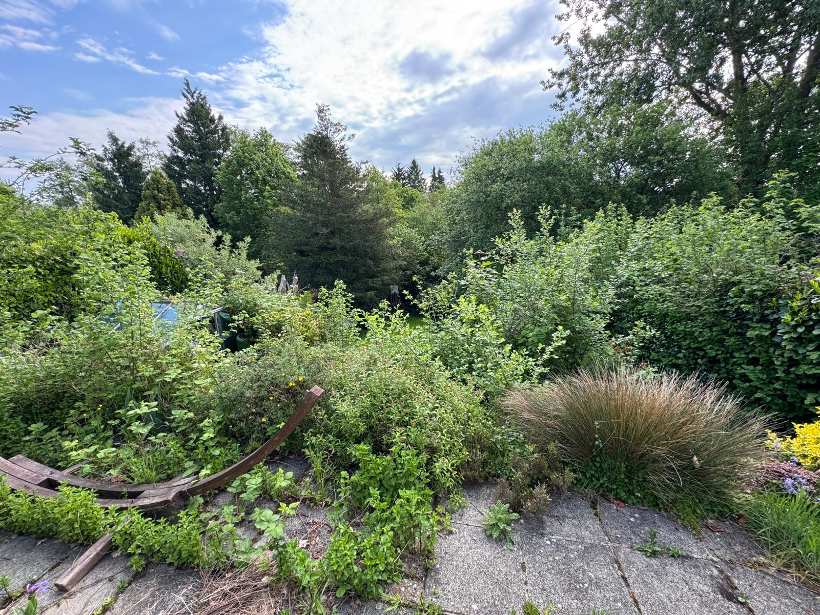 uckfield before clearing